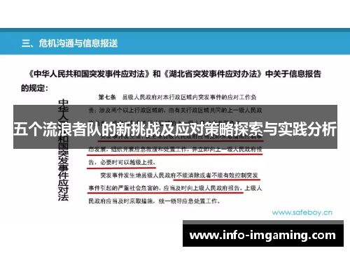 五个流浪者队的新挑战及应对策略探索与实践分析