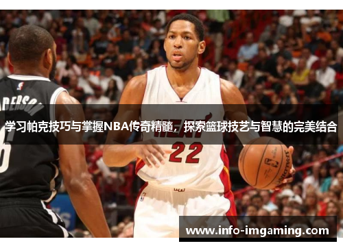 学习帕克技巧与掌握NBA传奇精髓，探索篮球技艺与智慧的完美结合