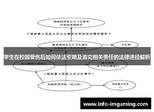 学生在校园受伤后如何依法索赔及追究相关责任的法律途径解析