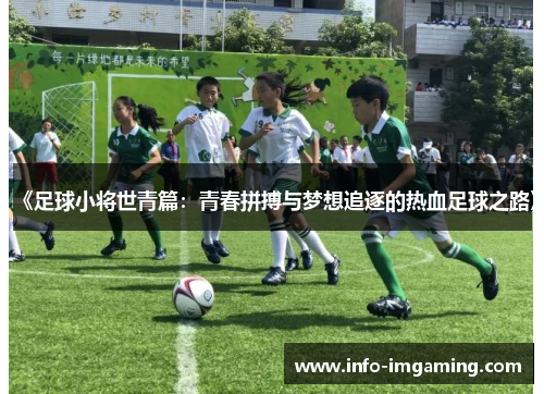 《足球小将世青篇：青春拼搏与梦想追逐的热血足球之路》