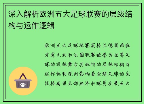 深入解析欧洲五大足球联赛的层级结构与运作逻辑