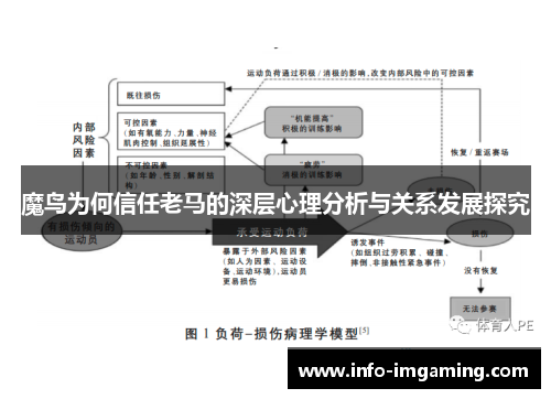 魔鸟为何信任老马的深层心理分析与关系发展探究