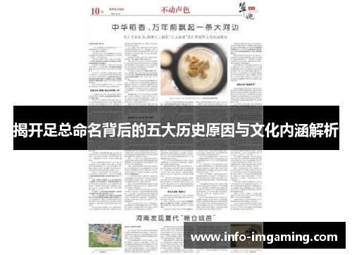 揭开足总命名背后的五大历史原因与文化内涵解析