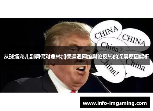 从球场宠儿到调侃对象林加德遭遇网络舆论反转的深层原因解析