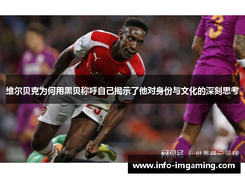 维尔贝克为何用黑贝称呼自己揭示了他对身份与文化的深刻思考